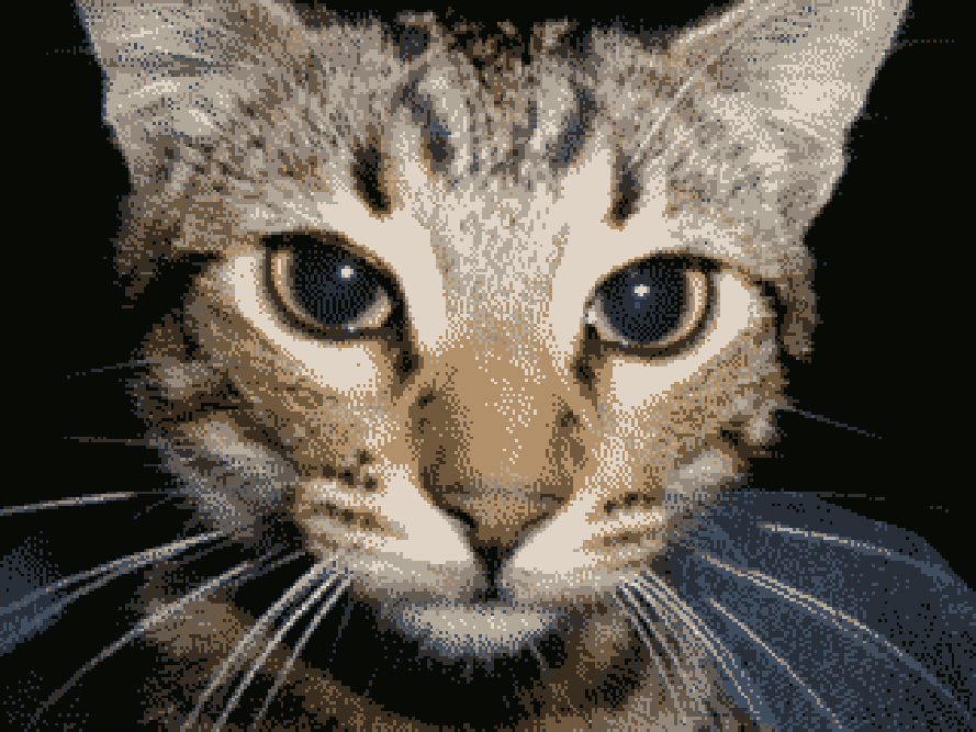 Représentation et traitement d’images en C++